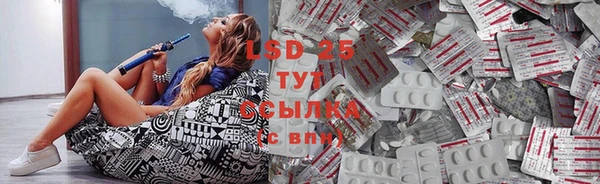 ешки Верхний Тагил