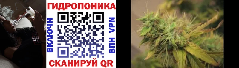 Купить  Соль-Илецк  Марихуана сатива 